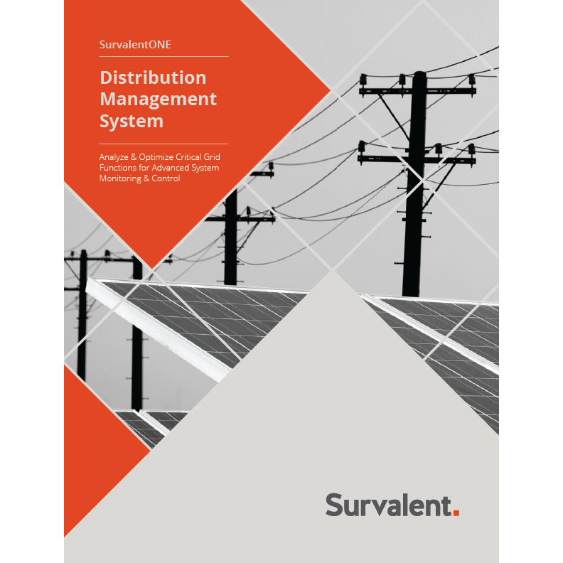 Survalent DMS Brochure cover