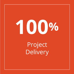 SurvalentWebsiteSqaures_Final2 Square - 100% Project Delivery
