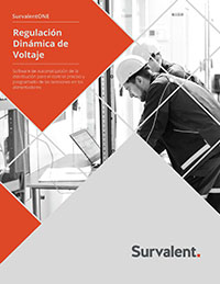 Survalent_DVR-Brochure_esp_Page_200x259