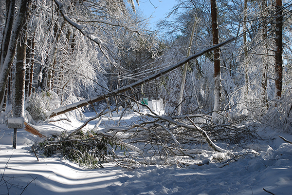 Winter Storm_600x400 Winter Storm