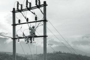 Da Nang Power Company case study