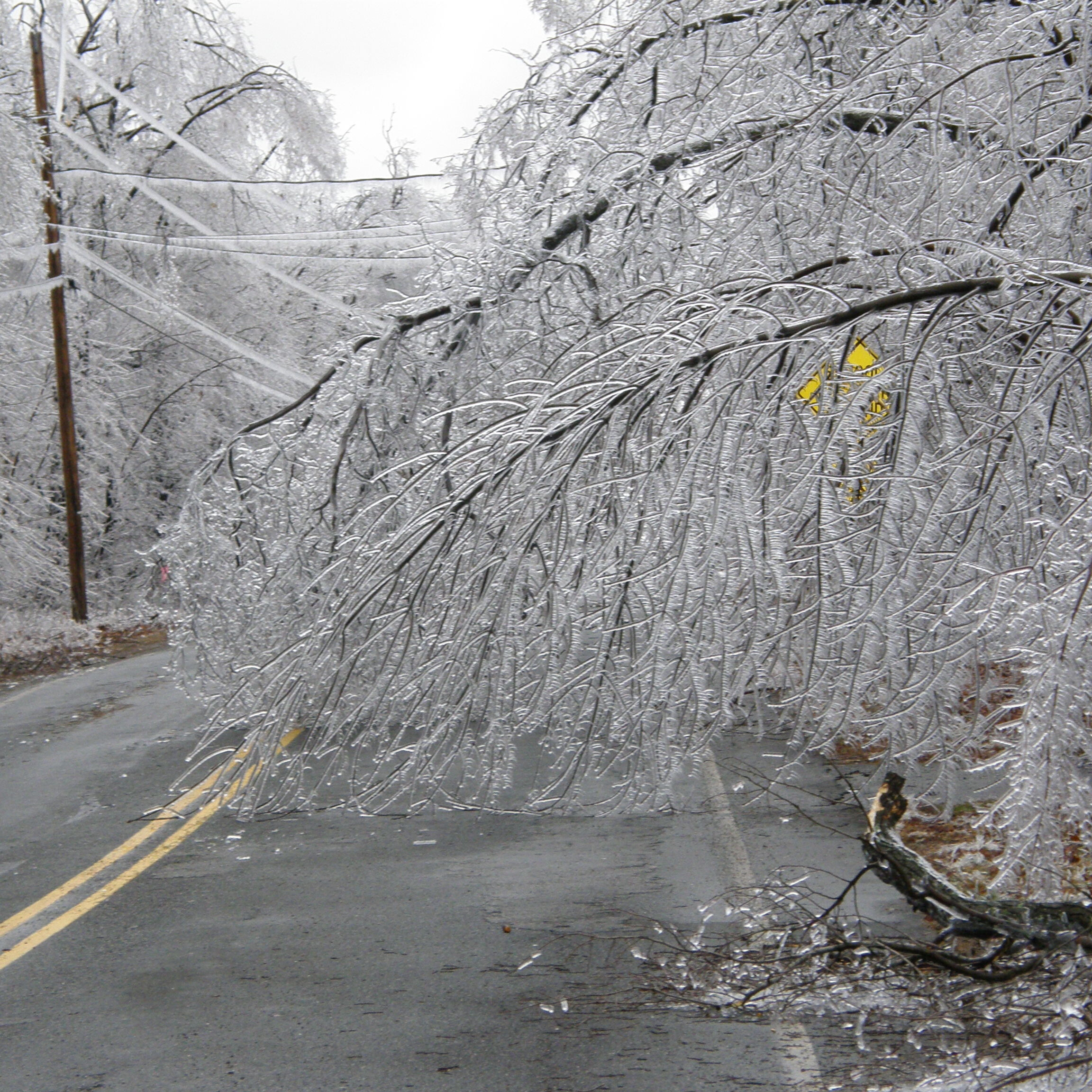 Farmer's Electric Cooperative image