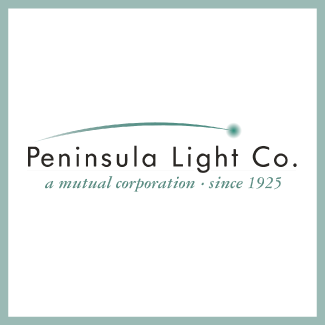 PenLight Logo