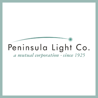 penlight-logo PenLight Logo