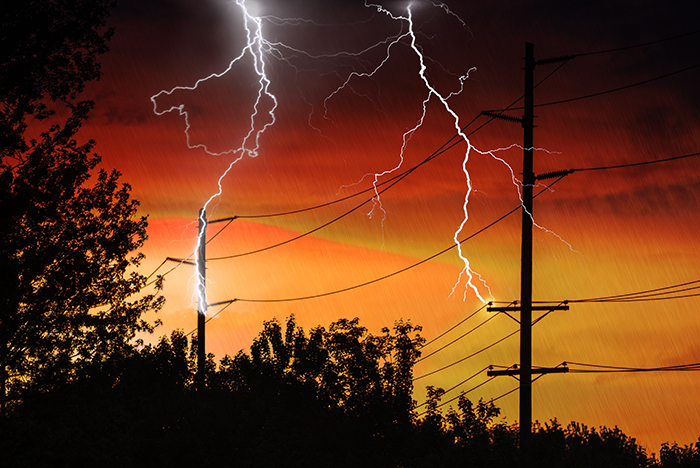 storm_coops-thunder
