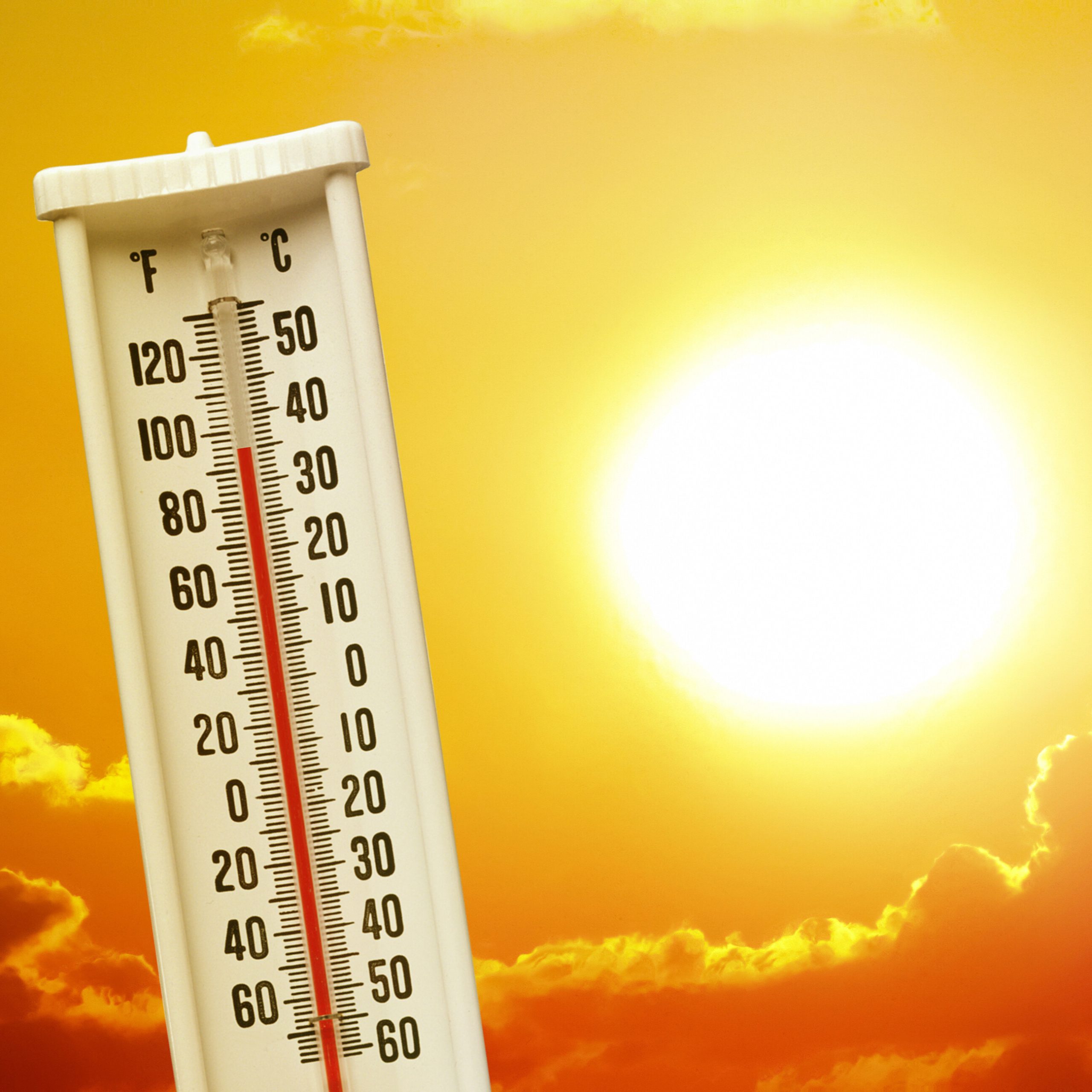 DVR Banner Image DVR Banner Image