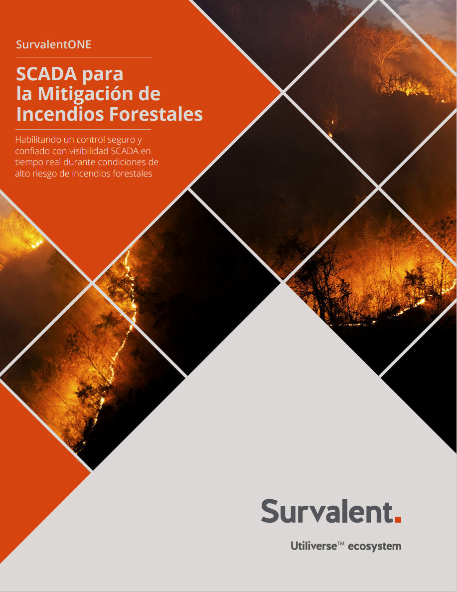 Wildfire Mitigation_Cover Page_esp