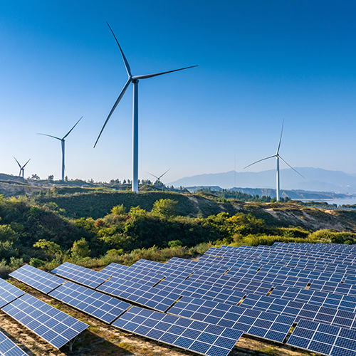 shutterstock_2376965229_500X500