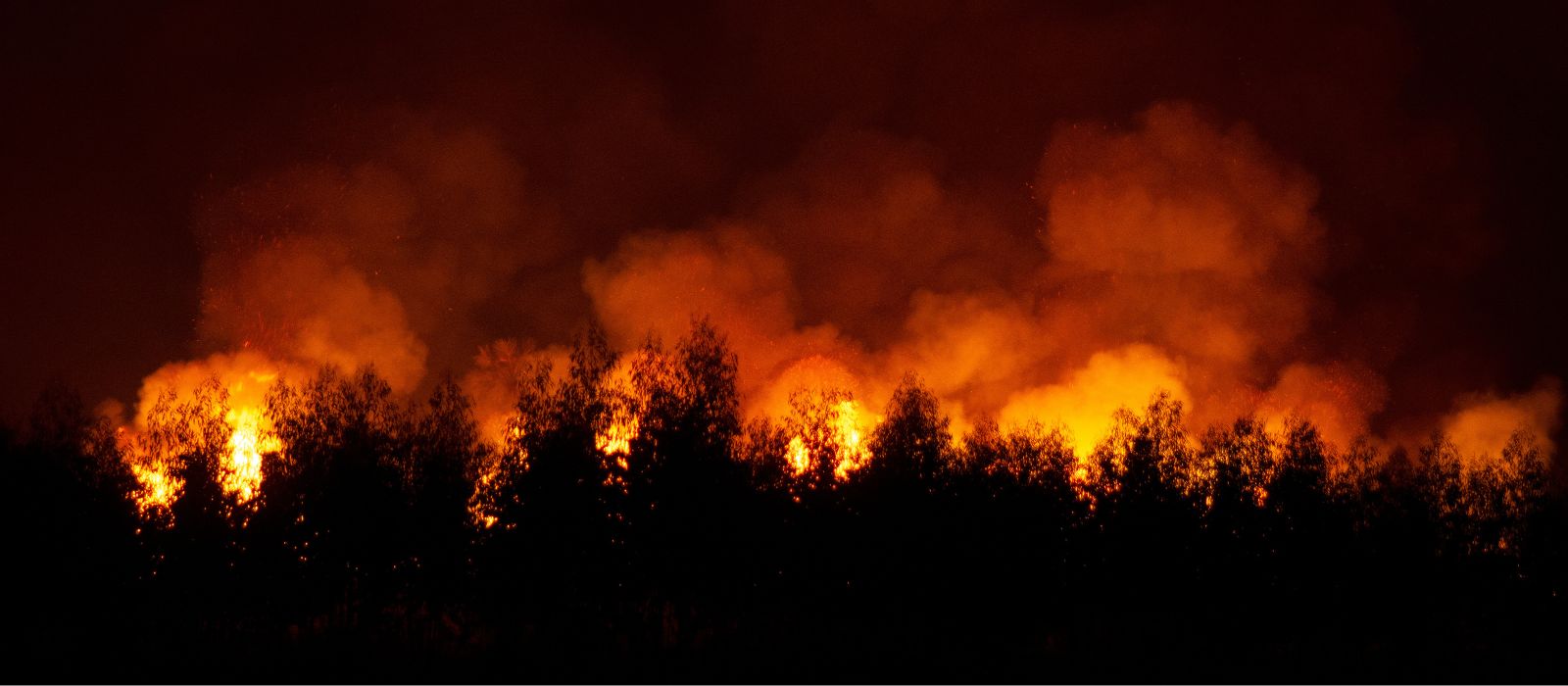 Wildfire Toolkit